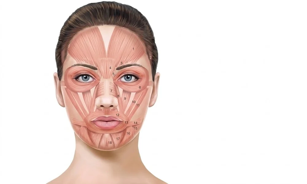 How Long Do Botox Side Effects Last